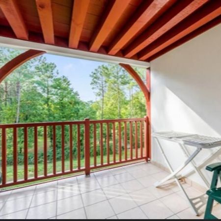 Biscarrosse Lac-Domaine De Gascogne- Avec Piscine Ngoại thất bức ảnh